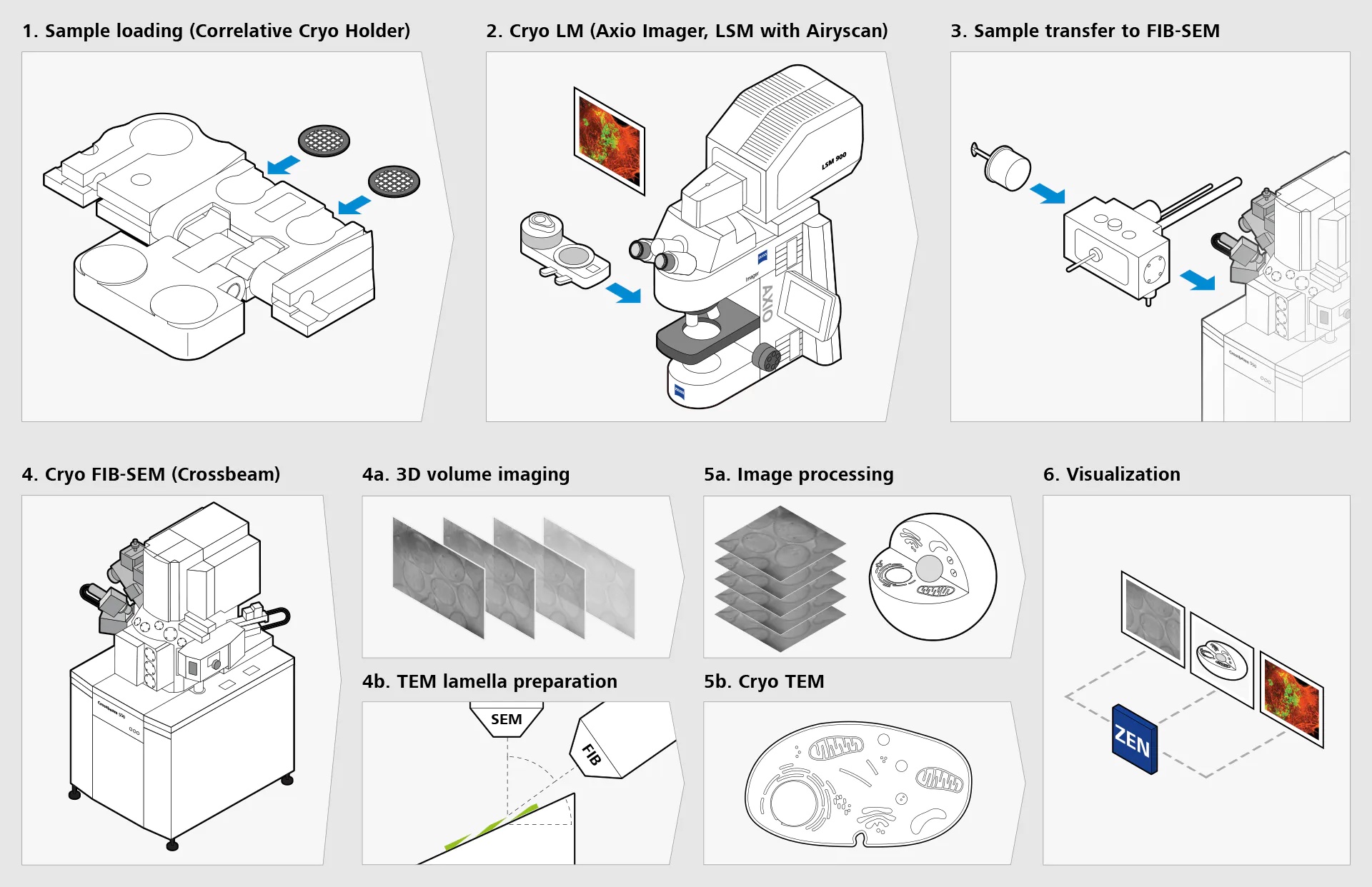 correlative cryo workflow overview2.ts 1612180302465